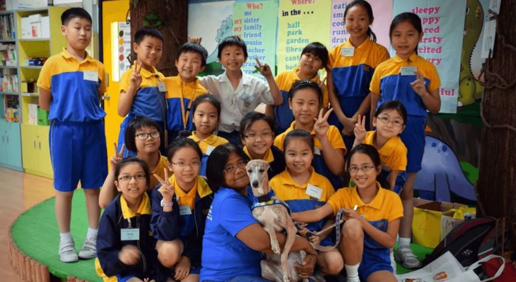 animals asia chinese schoolchildren learn about pet welfare